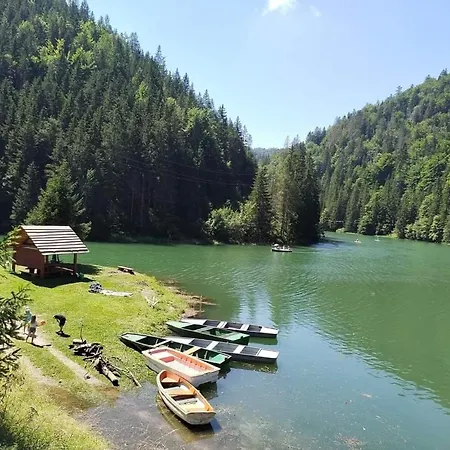 Erika 公寓 Puste Pole