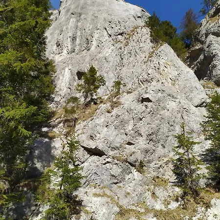 Apartment Erika Puste Pole